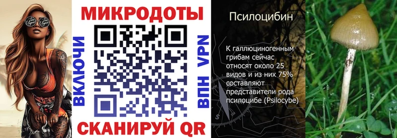 Галлюциногенные грибы Psilocybe  Камышин 