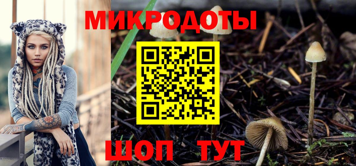 Камышин  Галлюциногенные грибы мухоморы  Вход с VPN 